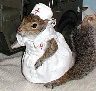 redcrossnurse.jpg