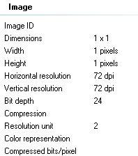 1 pixel detail 1.JPG
