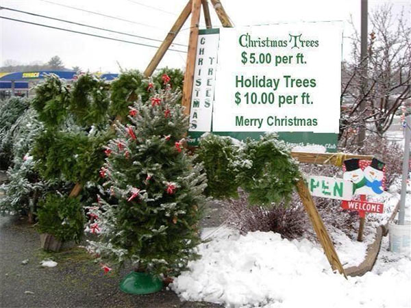 Christmas_Trees_Holiday_Trees.jpg
