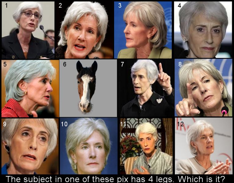 Guess Which.jpg