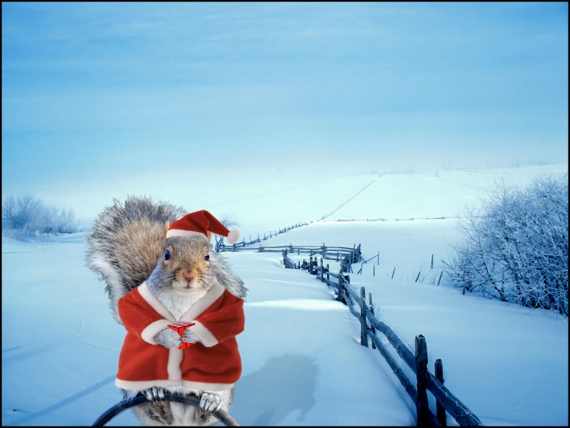 Craptek Christmas jpg.jpg