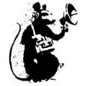 rat spy.jpg