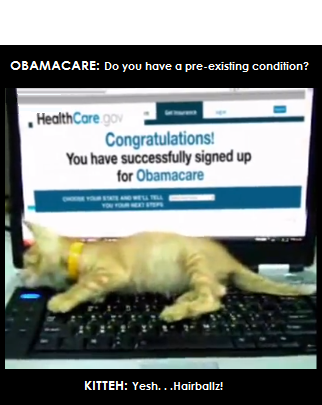 kitteh.PNG