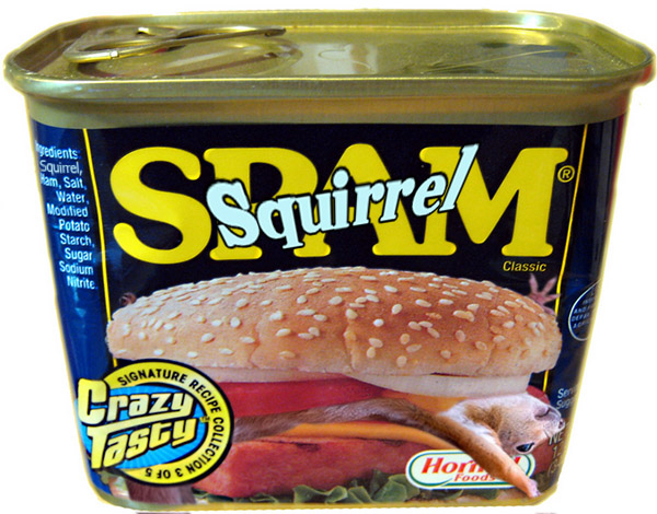 SquirrelSpam.jpg