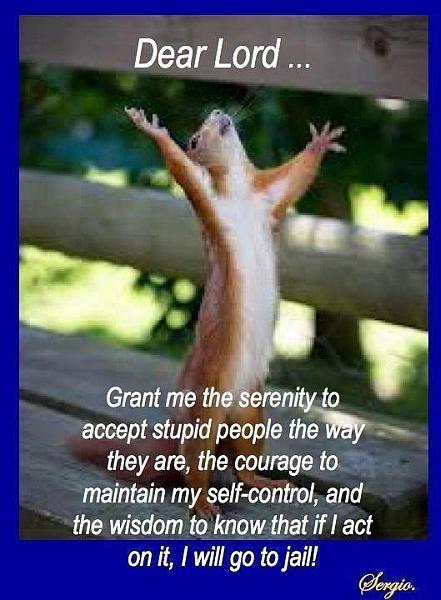 Squirel Serenity Prayer.jpg