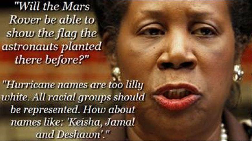 sheila-jackson-lee-is-an-IDIOT-119621022390.jpeg