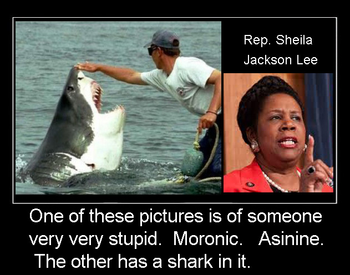 5443241185_sheila_jackson_lee_xlarge.png