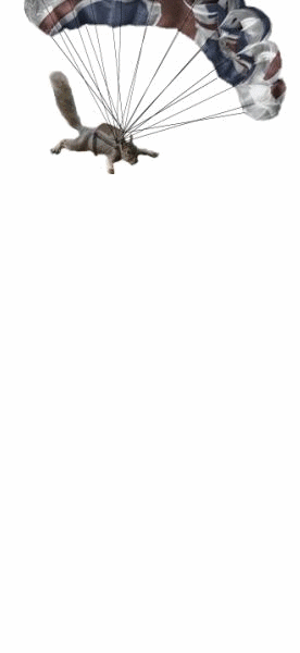 ParaGIF.gif