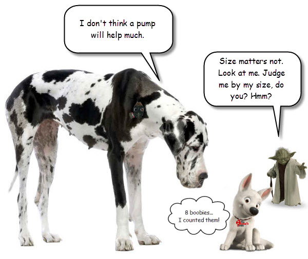 size-matters-not.jpg