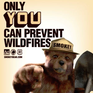 Smokey_Bear.jpg