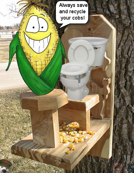 29167-captain-crapteks-corn-cob-throne 2.jpg