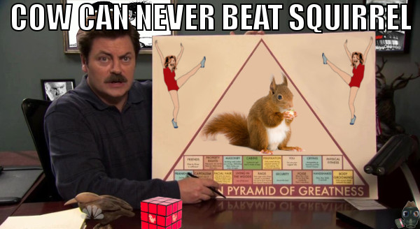 cow-can-never-beat-squirrel.jpg