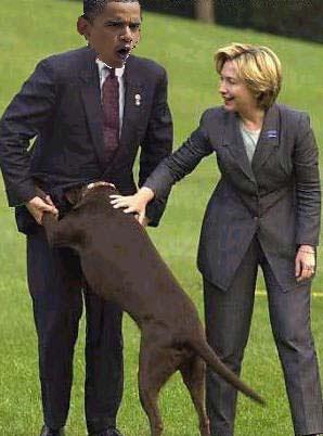 bo hilldog_attack.jpg