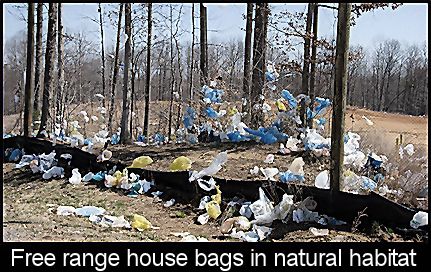 House Bag.jpg