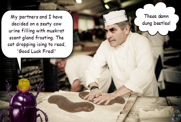 dedhedvedev-buys-a-dung-cake.jpg