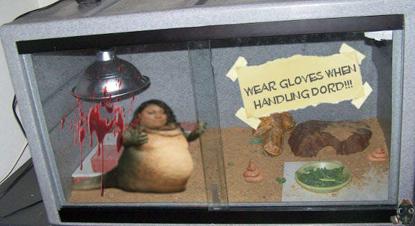wear-gloves-when-handling-Dord.jpg