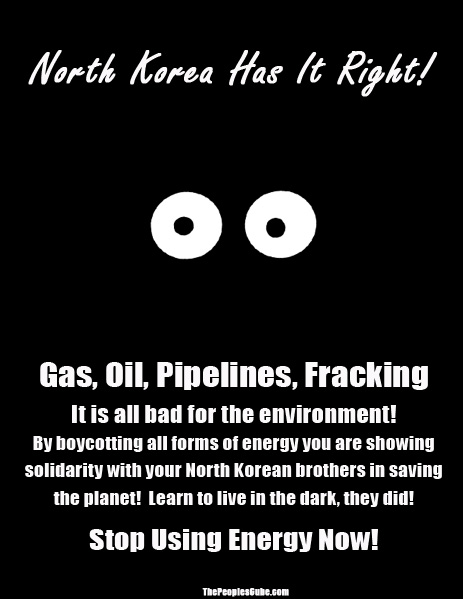 Biycott-energy.jpg