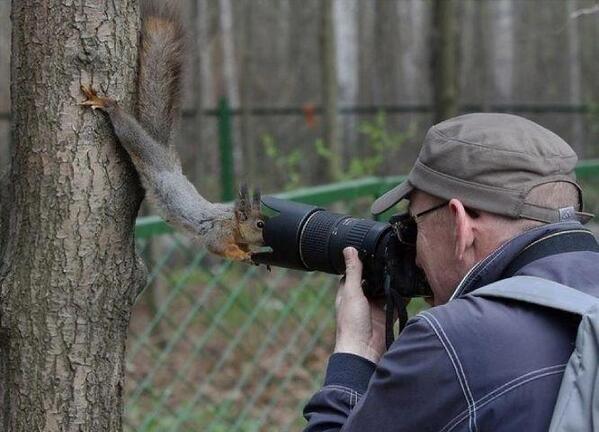 squirell camera.jpg