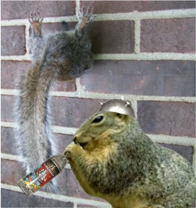 sQUIRREL3.jpg