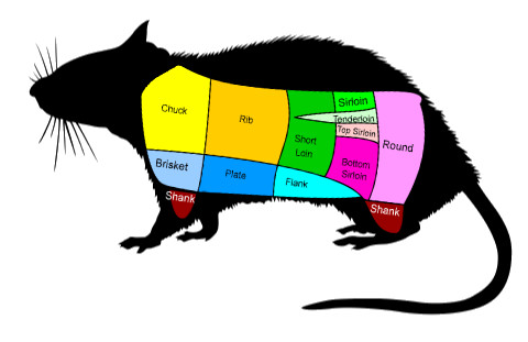 rat-cuts.jpg