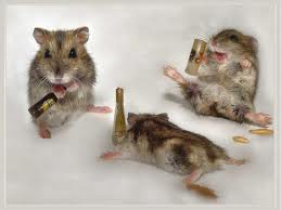 Drunk-mouse.jpg