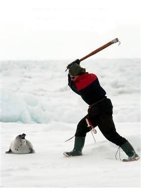 Seal-Navy.jpg