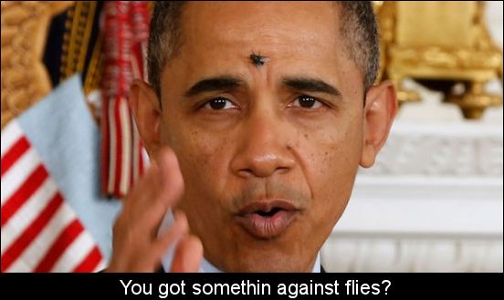 Fly Obama 2.jpg