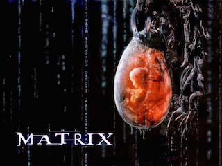 11-matrix battery.jpg