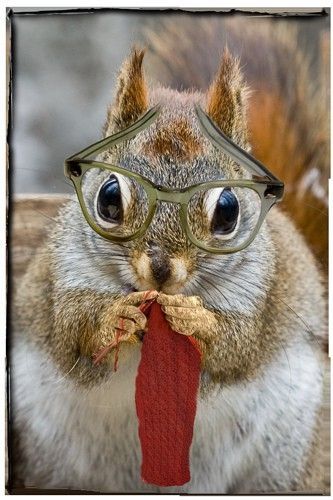 knit.jpg