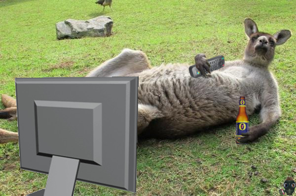kapitan-kangaroo-kourt.jpg