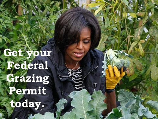 101105_michelle_obama_garden_ap_522_regular.jpg