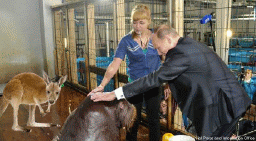 putinbless gif.gif