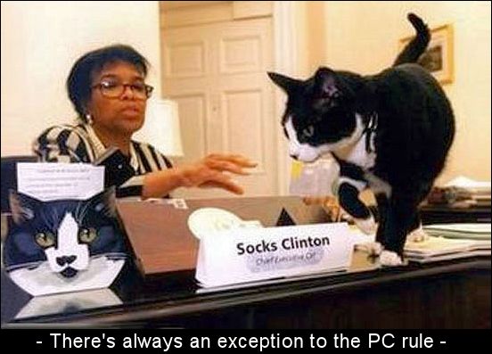 Socks-exception.jpg