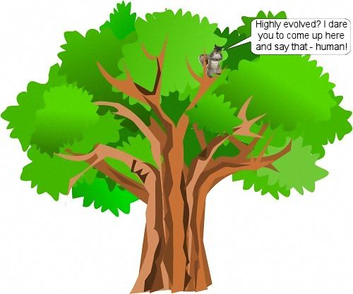 people tree 3.jpg