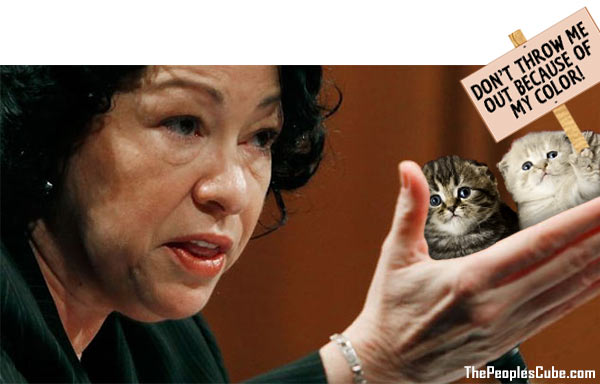 Sotomayor_Kittens.jpg