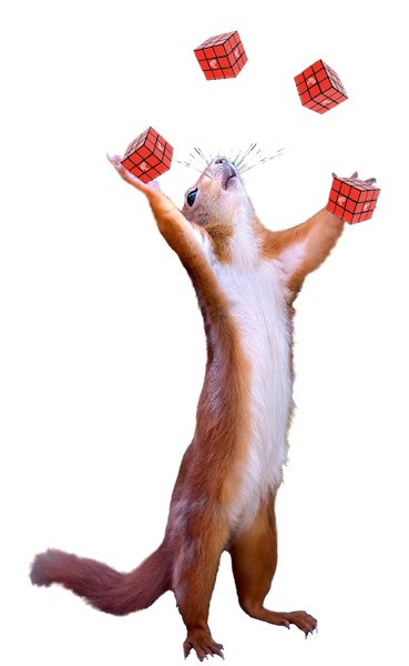 Juggling squirrel clear 2.jpg