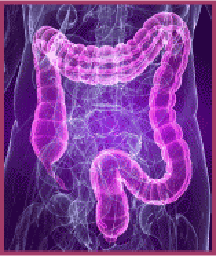 xray.png