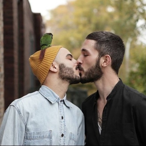 Beards.jpg