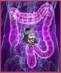 xray.png