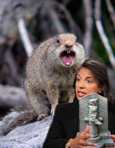 evilsquirrel copy.jpg