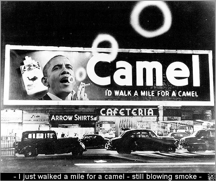 Camel5.jpg