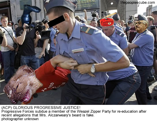 ella rose riehle the peoples cube weazel zippers.jpg