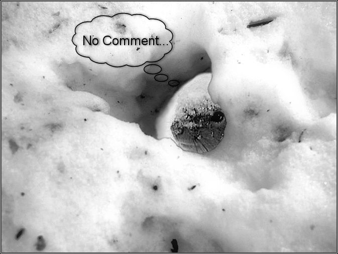 Global Warming Fun.jpg