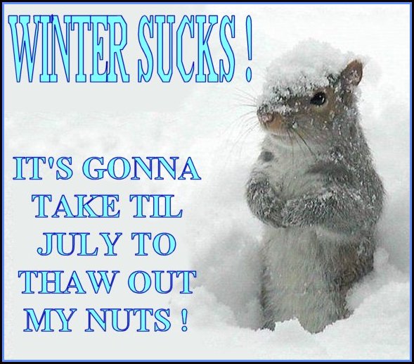 Winter Sucks!.jpg