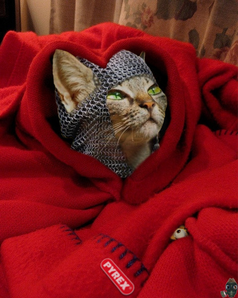 reddiaperette-in-pyrex-blanket.jpg