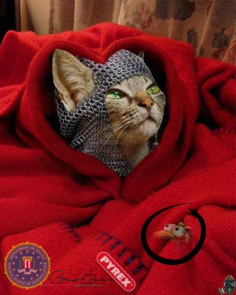 reddiaperette-in-pyrex-blanket-fbi.jpg