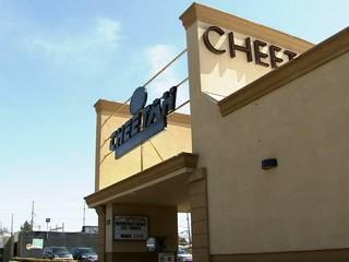 cheetah.jpg