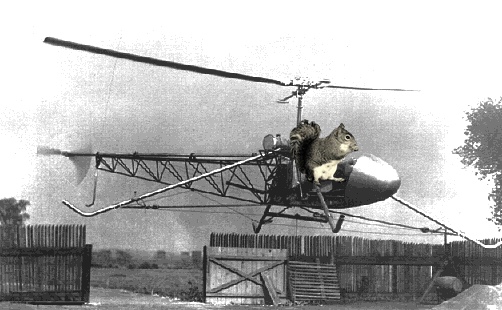 crap.jpg
