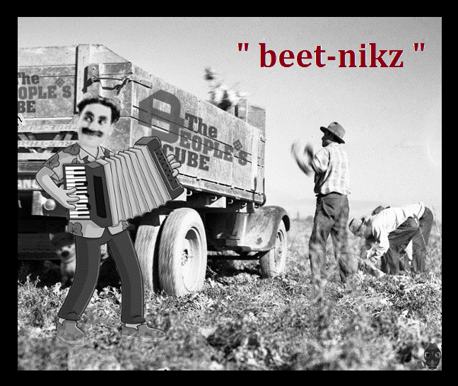 beet-nikz.png