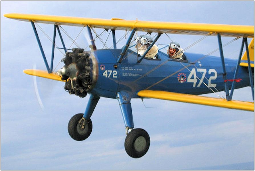 craptek putout airplane-2jpg.jpg